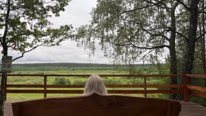 A peaceful view of lush green landscape from a wooden deck.